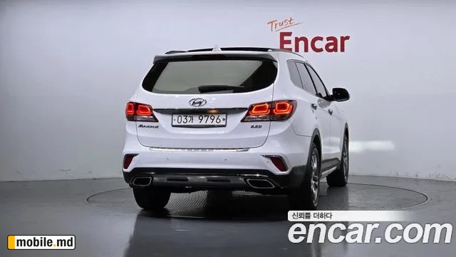 2018 Hyundai Maxcruz — photo 4