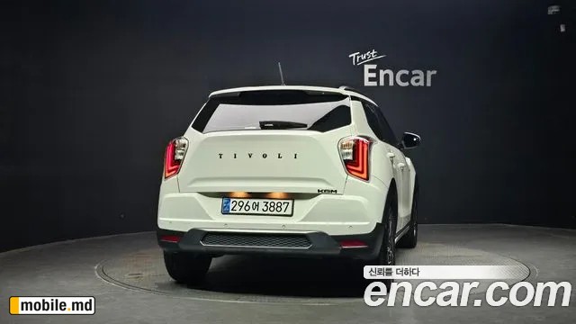 2025 Li TIBOLI — photo 4