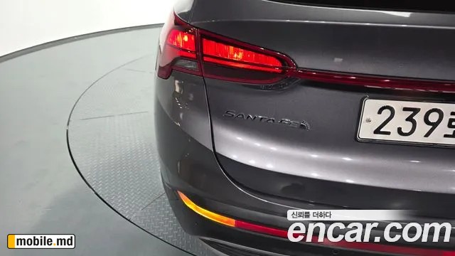 2021 Hyundai Santafe — photo 23
