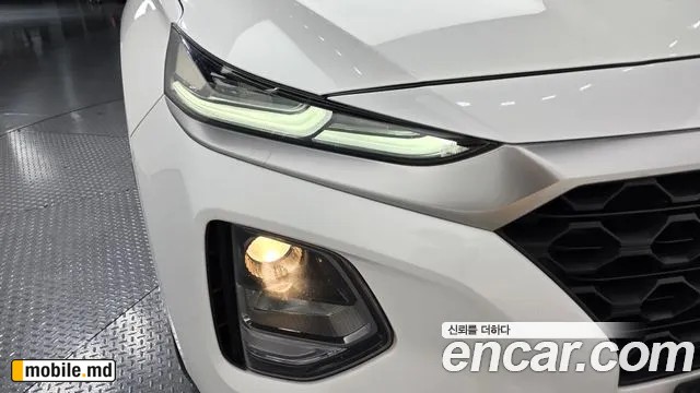 2019 Hyundai Santafe — photo 22
