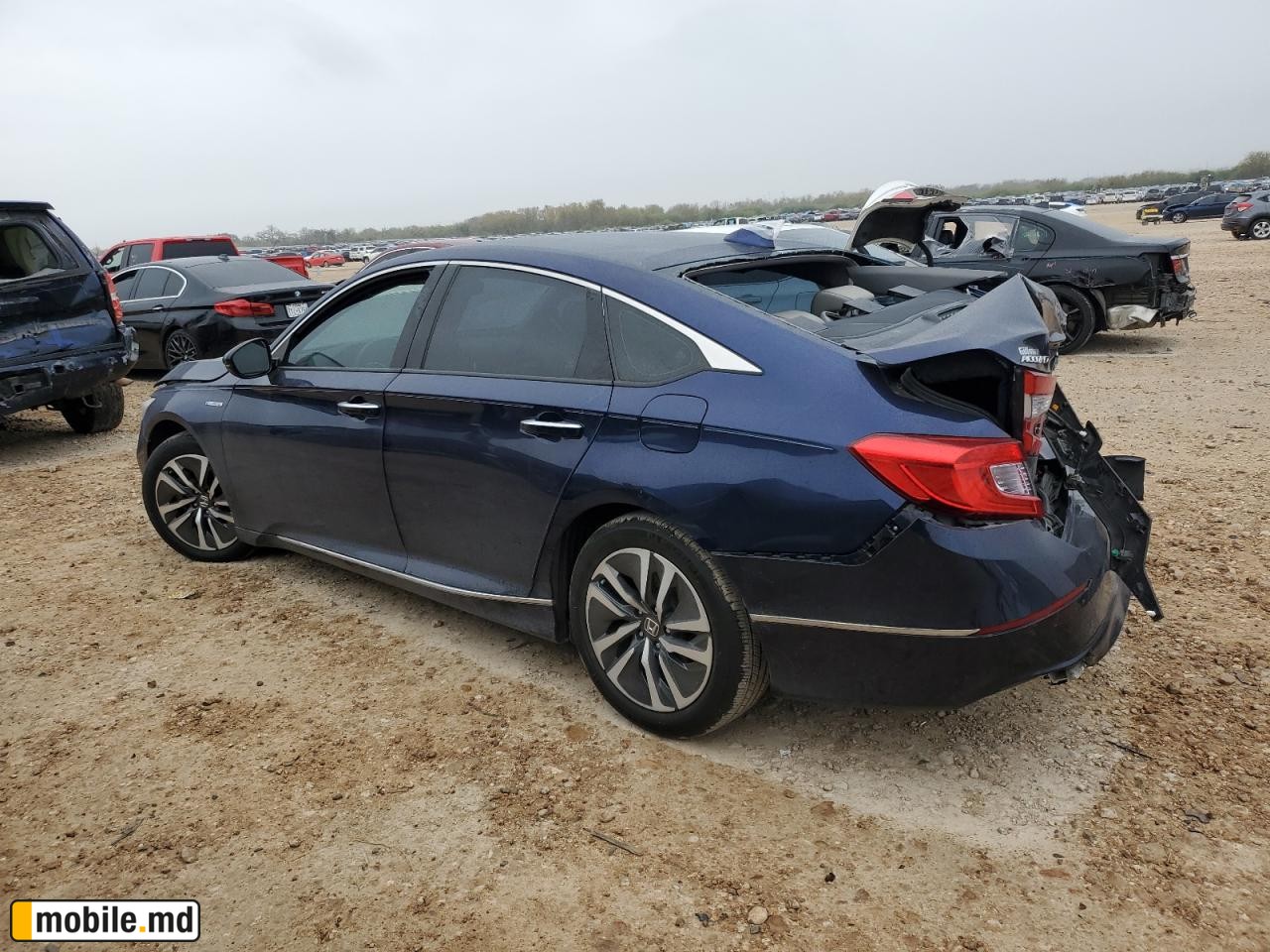 2020 Honda Accord — photo 2