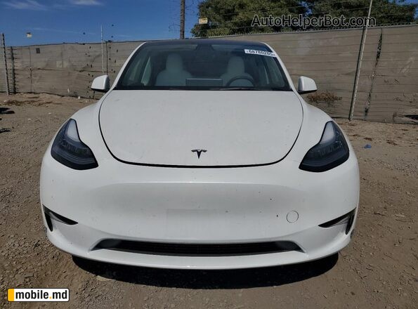 2021 Tesla Model Y — photo 5