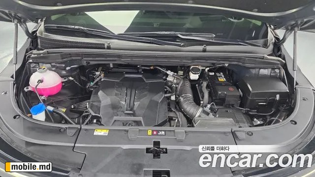 2025 Kia Canival — photo 6