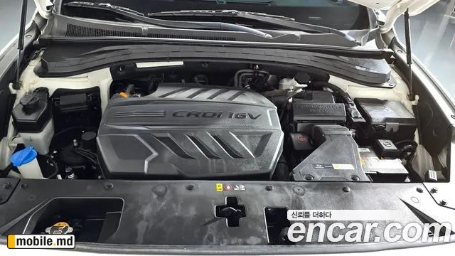 2019 Hyundai Santafe — photo 6