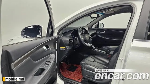 2019 Hyundai Santafe — photo 10