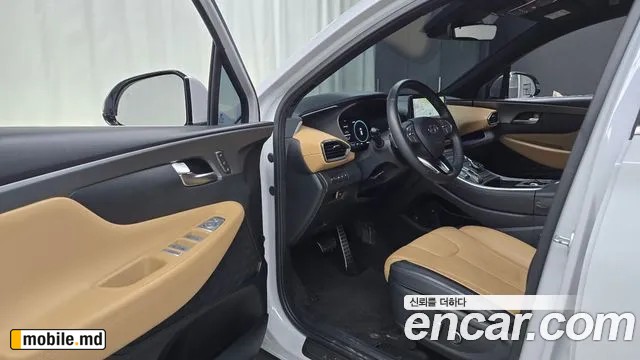 2021 Hyundai Santafe — photo 10