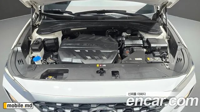 2019 Hyundai Santafe — photo 6