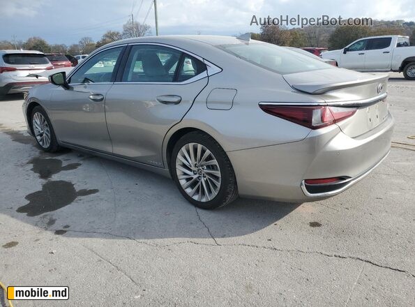 2020 Lexus ES — photo 2