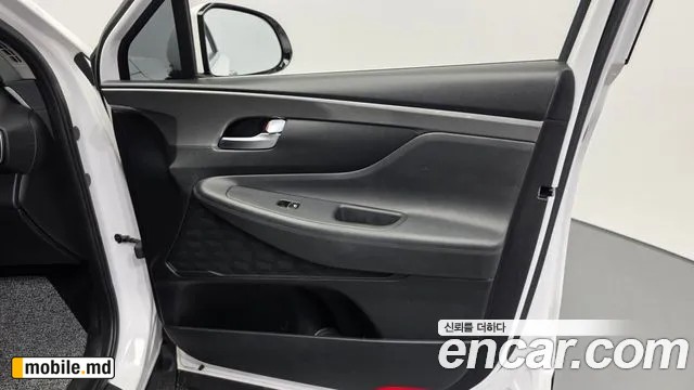 2019 Hyundai Santafe — photo 25