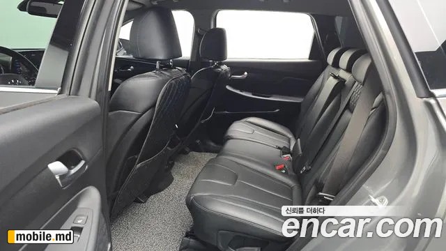 2019 Hyundai Santafe — photo 12