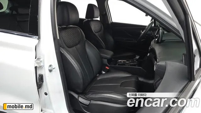 2019 Hyundai Santafe — photo 10