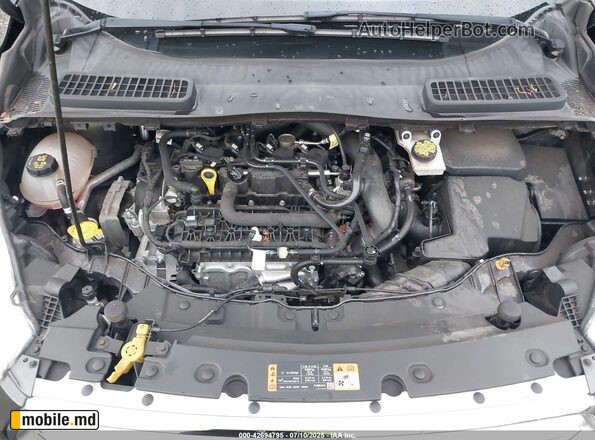 2019 Ford Escape — photo 10