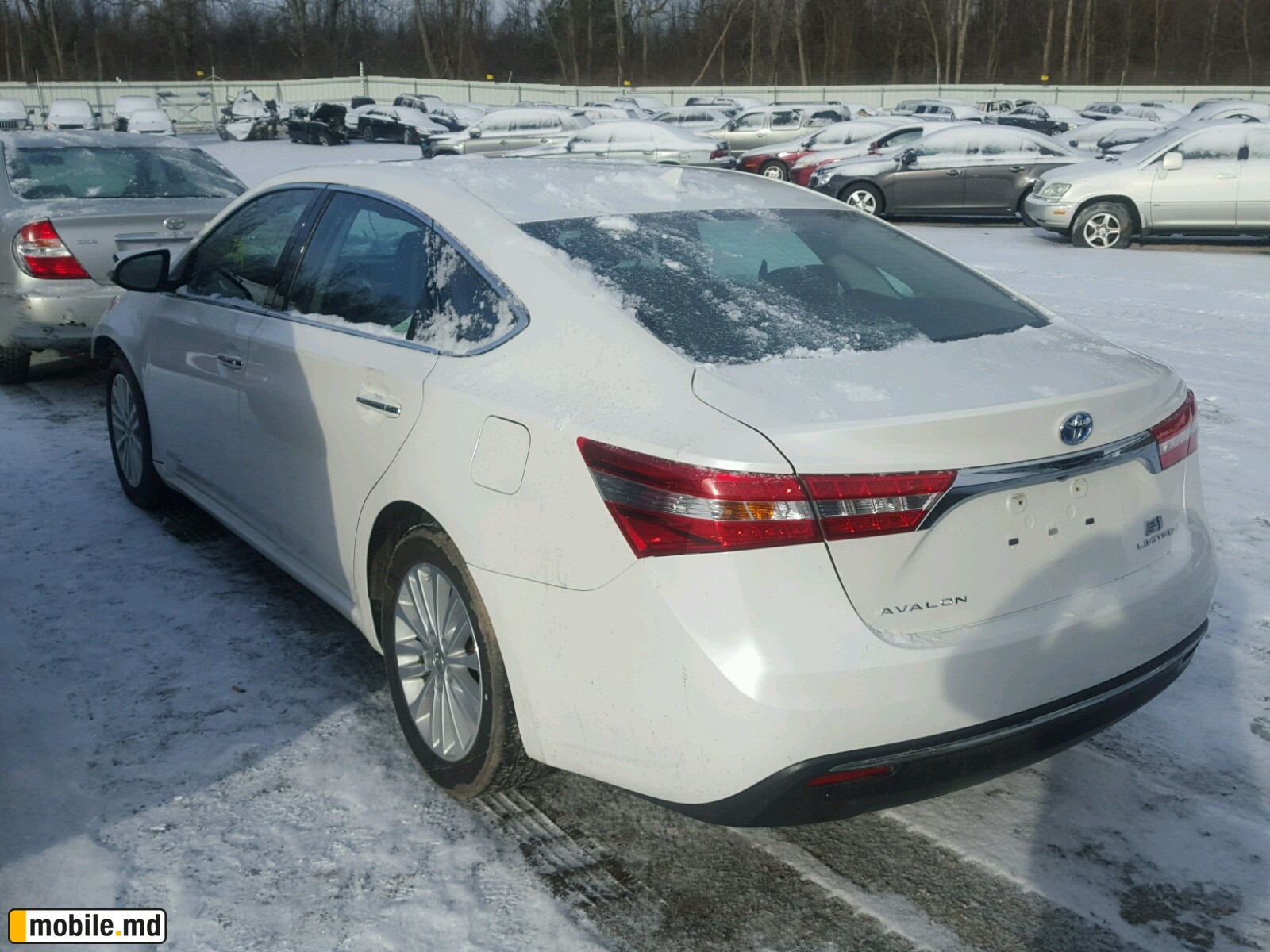 2014 Toyota Avalon — photo 3