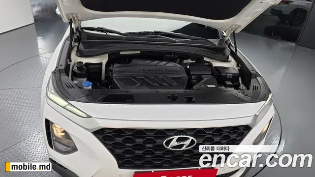 2019 Hyundai Santafe — photo 6