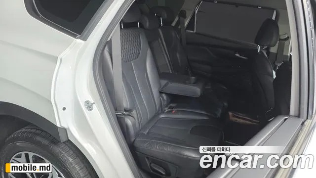 2019 Hyundai Santafe — photo 26