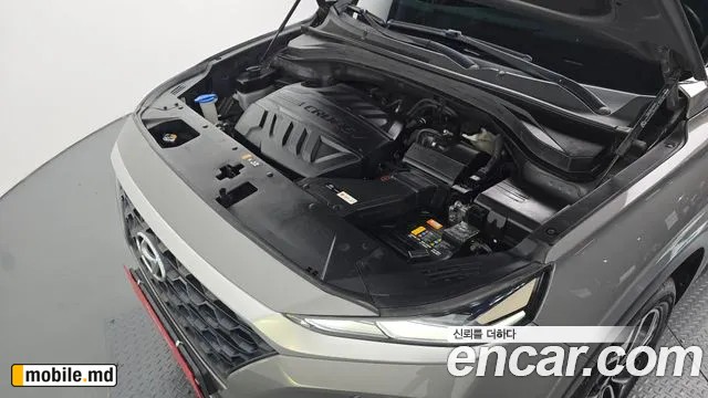 2019 Hyundai Santafe — photo 6