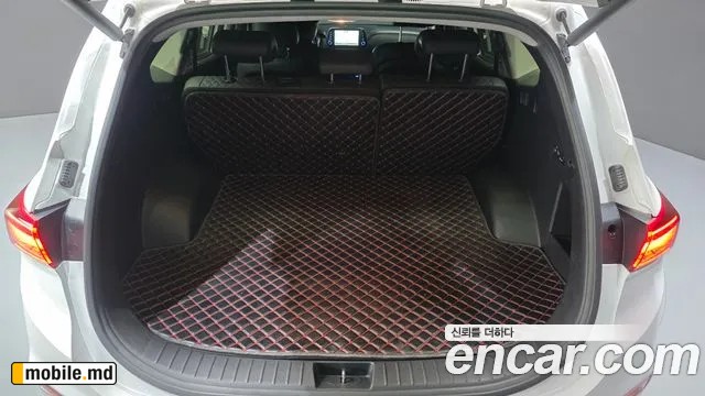 2019 Hyundai Santafe — photo 31