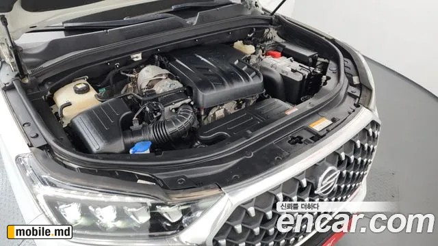 2021 Li Rexton — photo 5