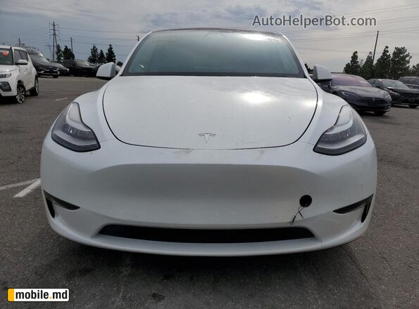 2020 Tesla Model Y — photo 5