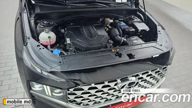 2021 Hyundai Santafe — photo 6
