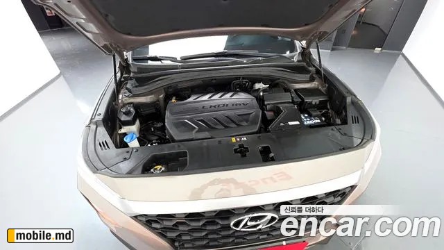 2019 Hyundai Santafe — photo 6