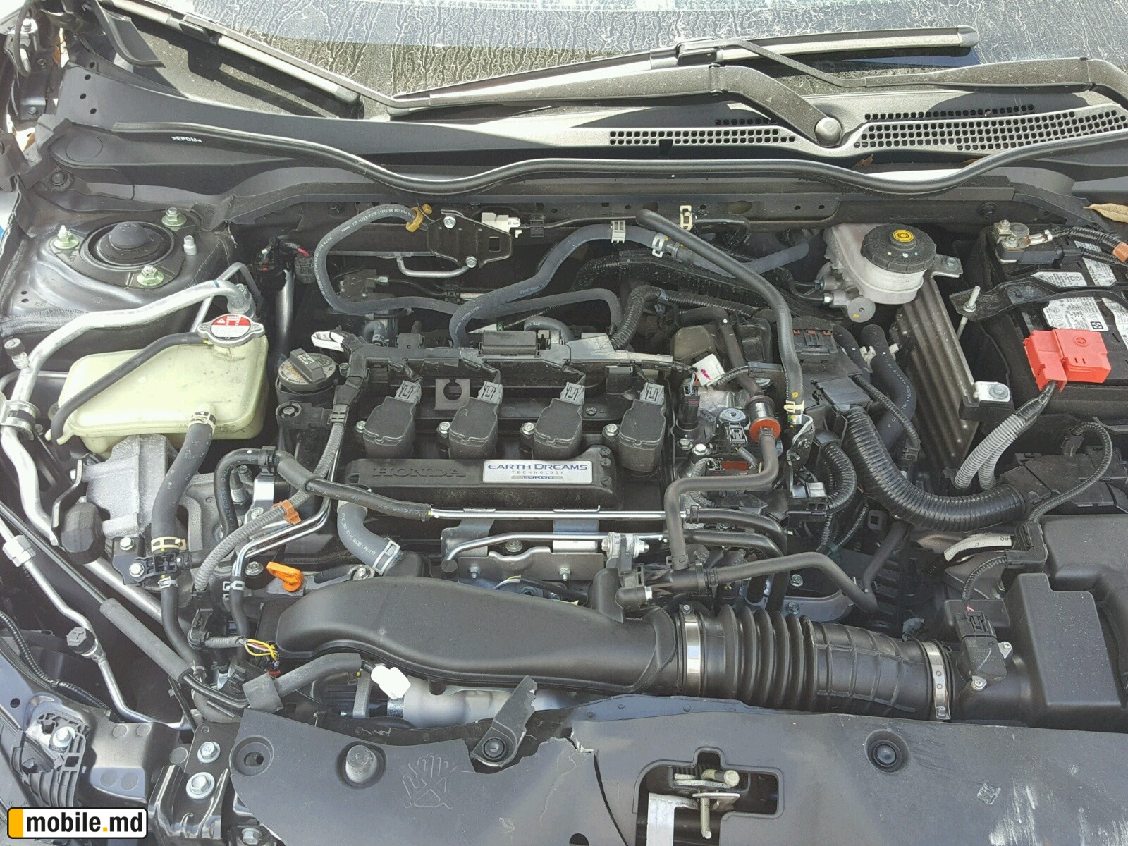 2017 Honda Civic — photo 7