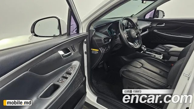 2019 Hyundai Santafe — photo 11