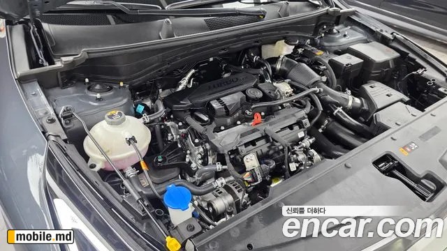 2026 Kia Sportage — photo 6