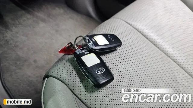 2016 Kia Canival — photo 37
