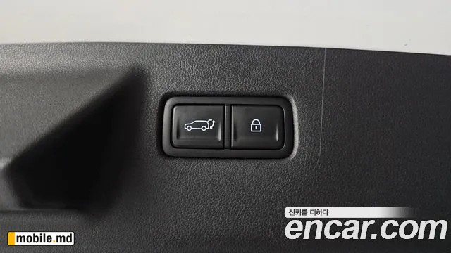2025 Hyundai Santafe — photo 31
