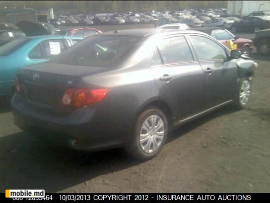 2010 Toyota Corolla — photo 4