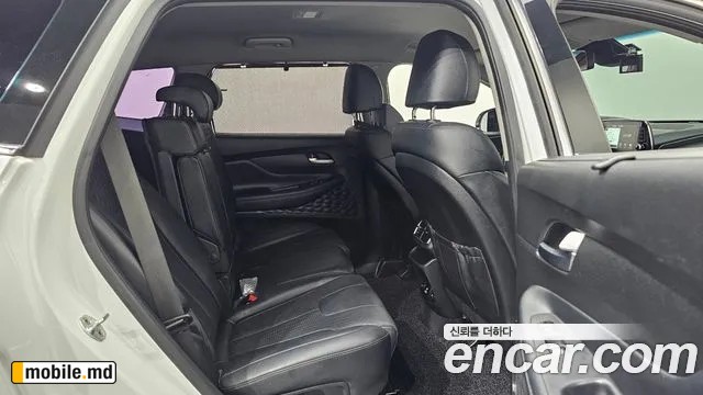 2019 Hyundai Santafe — photo 12