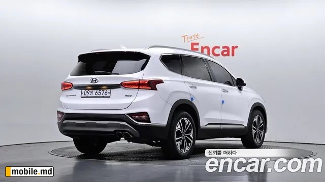 2019 Hyundai Santafe — photo 2