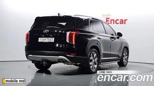 2019 Hyundai Palisade — photo 2