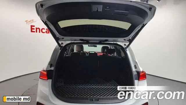 2019 Hyundai Santafe — photo 20