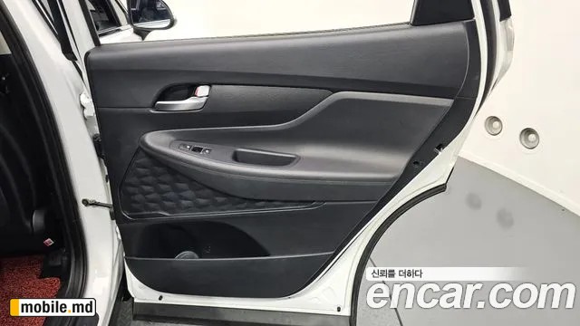 2019 Hyundai Santafe — photo 25