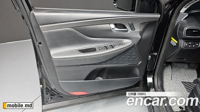 2019 Hyundai Santafe — photo 24