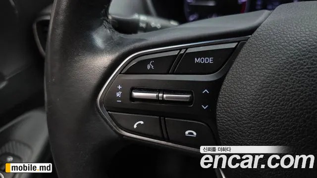 2019 Hyundai Santafe — photo 19