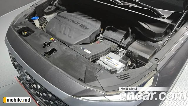 2019 Hyundai Santafe — photo 6