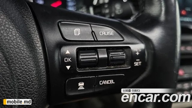 2019 Kia Canival — photo 16