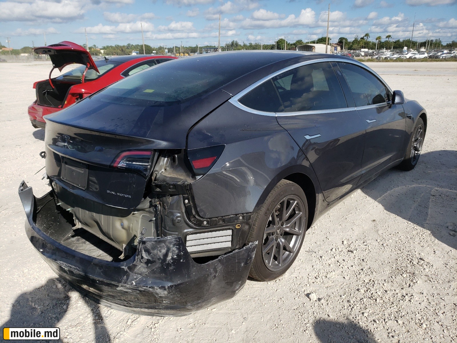 2019 Tesla Model 3 — photo 4