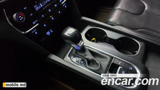 2019 Hyundai Santafe — photo 9