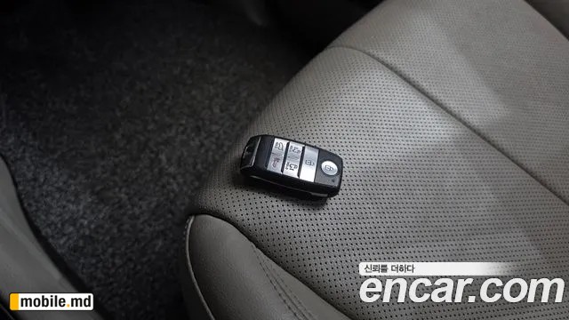 2019 Kia Canival — photo 15