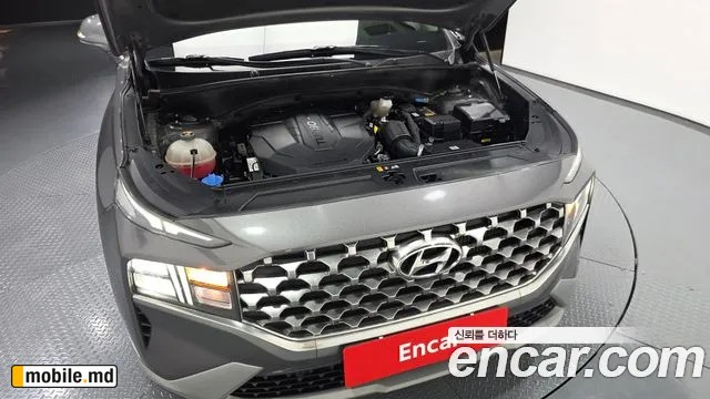 2021 Hyundai Santafe — photo 6
