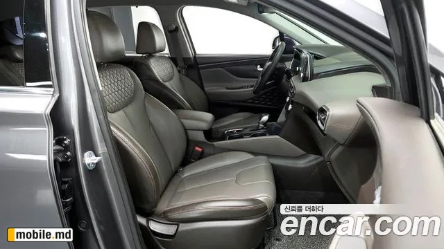 2019 Hyundai Santafe — photo 26