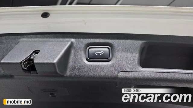 2019 Hyundai Santafe — photo 31