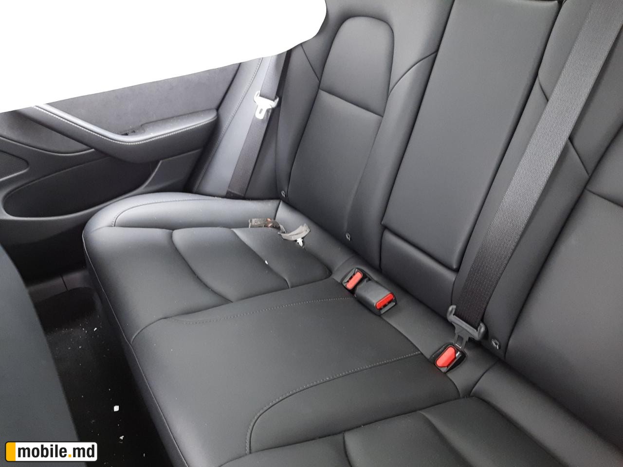 2021 Tesla Model 3 — photo 6