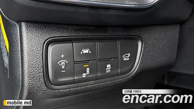 2019 Hyundai Santafe — photo 18