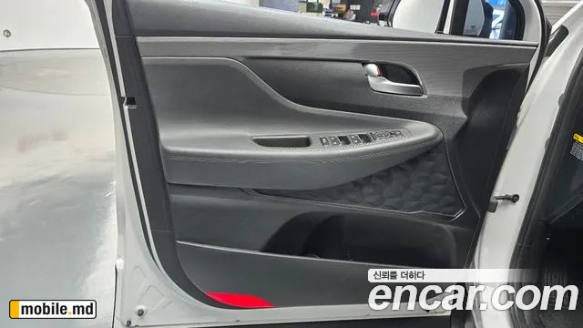 2019 Hyundai Santafe — photo 24
