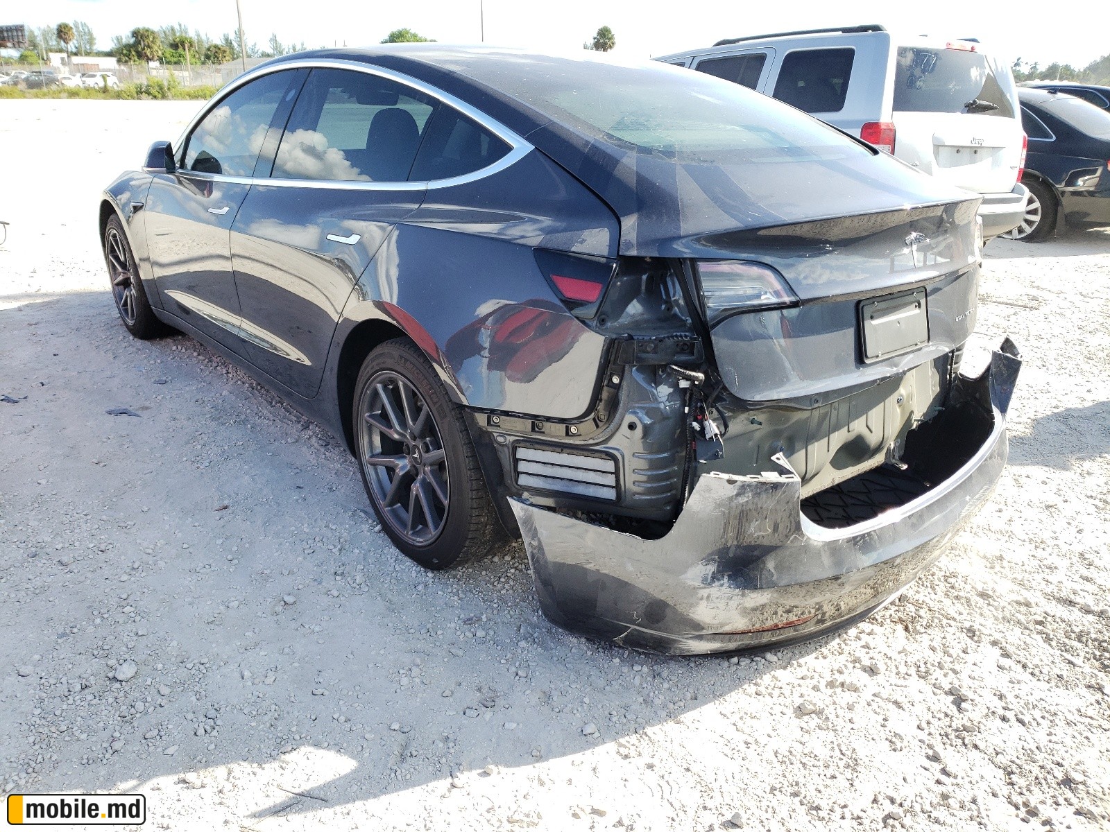 2019 Tesla Model 3 — photo 3
